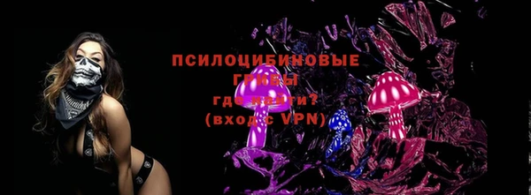 spice Тихвин
