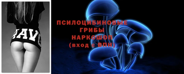 apvp Горно-Алтайск