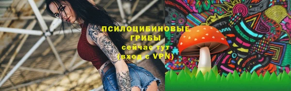 apvp Горно-Алтайск