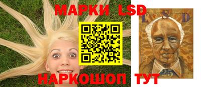 spice Гай