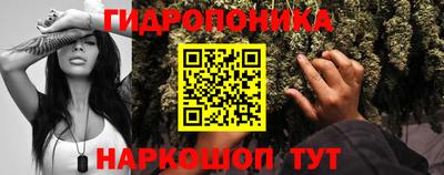 СК Гагарин