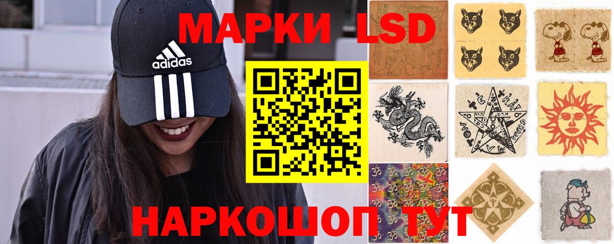KRAKEN как войти  ЛСД экстази кислота  Заводоуковск  Лсд 25 экстази кислота 