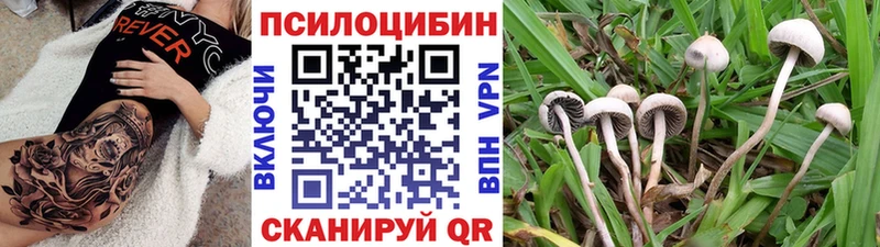 продажа наркотиков  Заводоуковск  Галлюциногенные грибы прущие грибы 