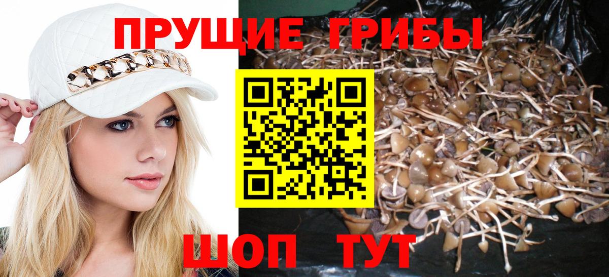 Галлюциногенные грибы GOLDEN TEACHER Заводоуковск