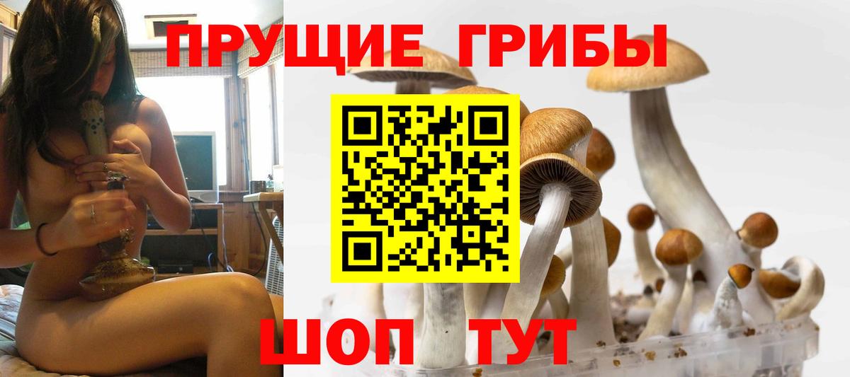 Галлюциногенные грибы ЛСД  Вход с VPN  Псилоцибиновые грибы Psilocybe  Заводоуковск 