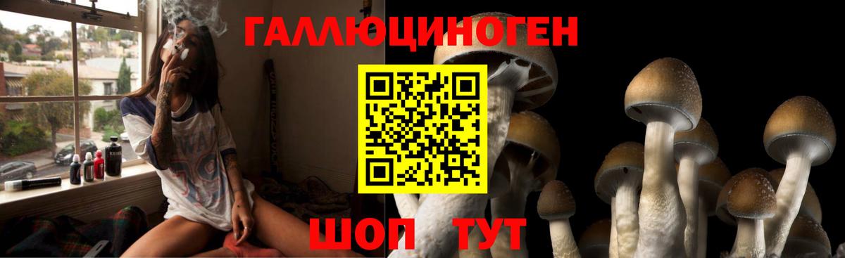 COCAIN Заводоуковск