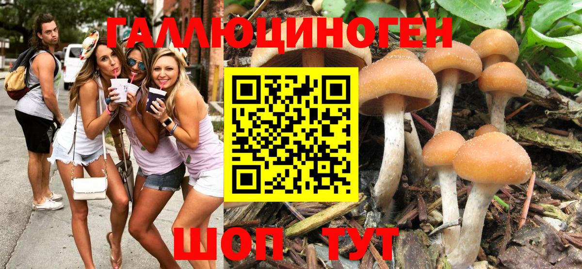 Галлюциногенные грибы GOLDEN TEACHER Заводоуковск